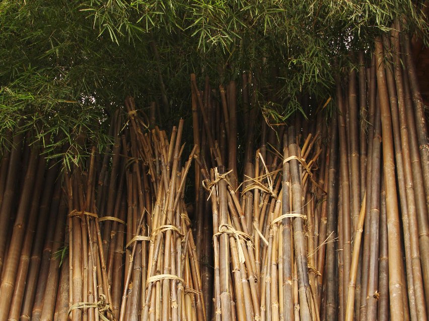 UMKM Aceh Ekspor Bambu  ke Turki