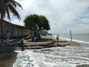 Abrasi Buat Petani Tambak Rugi, Rumah Warga Terancam Ambruk